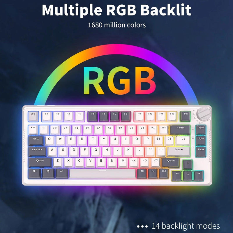 Royal Kludge RK-H81 Tri-Mode RGB 81 Keys Hot Swappable Mechanical Keyboard White Night (Sky Cyan Switch) - DataBlitz