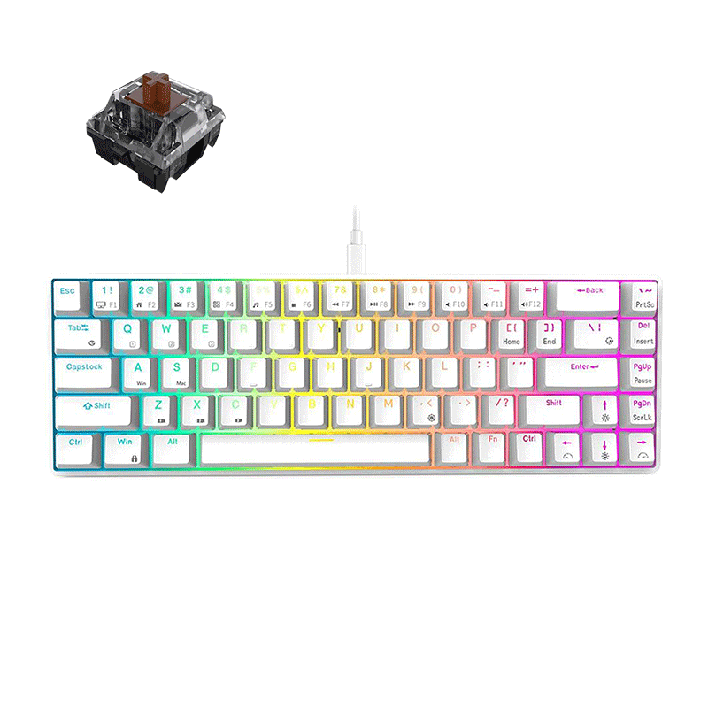 ROYAL KLUDGE G68PRO Tri-Mode RGB 68 Keys Hot Swappable Mechanical Keyboard White (Gateron Brown Switch) - DataBlitz