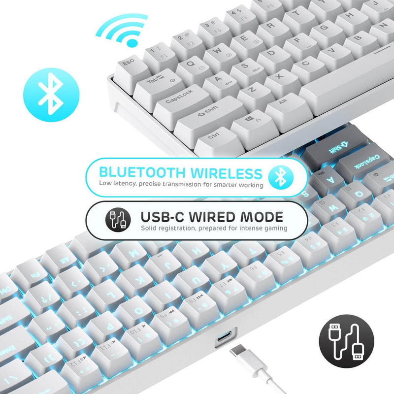 ROYAL KLUDGE G68 TRI-MODE RGB 68 KEYS HOT SWAPPABLE MECHANICAL KEYBOARD WHITE (RED SWITCH) - DataBlitz