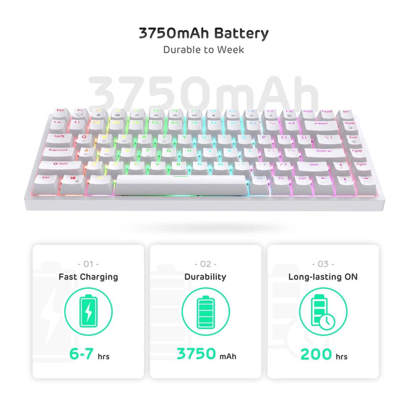 ROYAL KLUDGE RK84 TRI-MODE RGB 84 KEYS HOT SWAPPABLE MECHANICAL ...