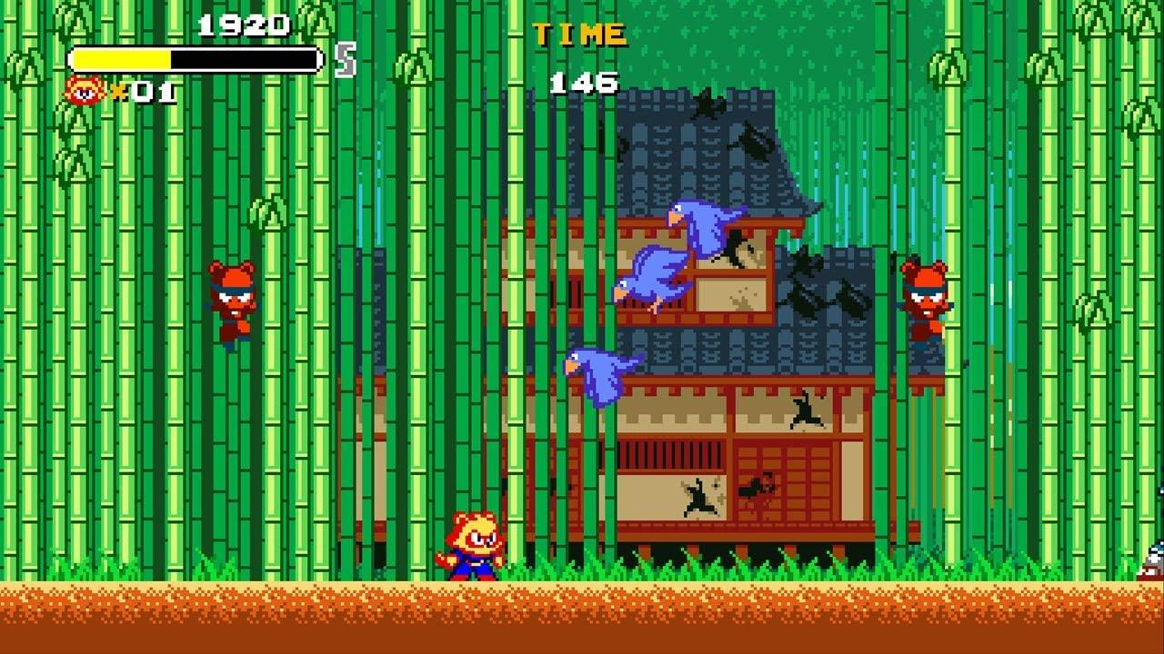 NINTENDO SWITCH TANUKI JUSTICE