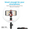 PROMATE VLOGPRO PROFESSIONAL ALL-IN-ONE VIDEO CREATION KIT - DataBlitz