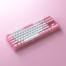 AKKO ACR87 COMBO RGB HOT-SWAPPABLE ACRYLIC MECHANICAL KEYBOARD PRUNUS LANNESIANA (JELLY PINK) - DataBlitz