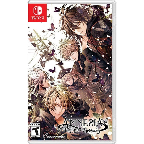 DATABLITZ |NINTENDO SWITCH AMNESIA LATER X CROWD
