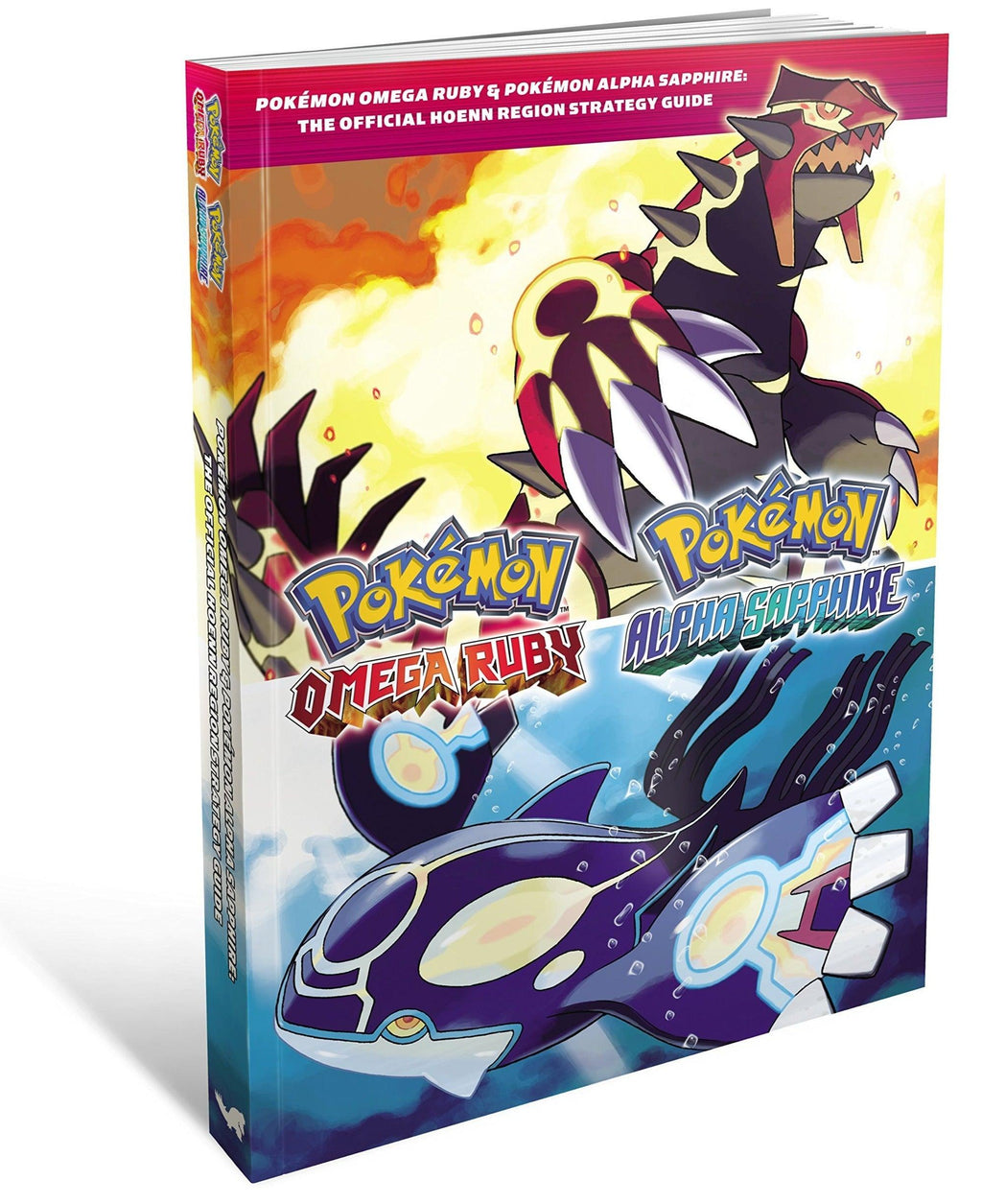 Project Omega Pokemon 4 Notes.pdf Roll over image to zoom in