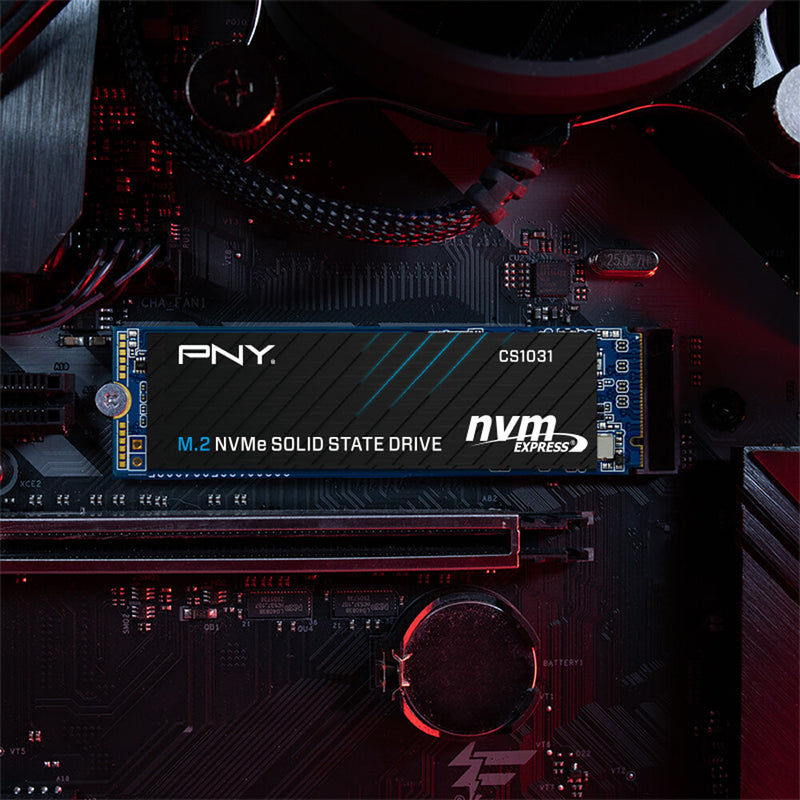 PNY CS1031 256GB M.2 2280 NVME PCIE GEN3 X4 SSD (M280CS1031-256-CL)