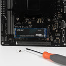 PNY CS1031 256GB M.2 2280 NVME PCIE GEN3 X4 SSD (M280CS1031-256-CL)