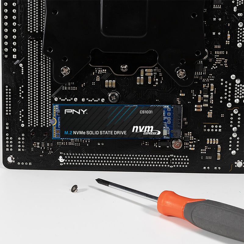 PNY CS1031 256GB M.2 2280 NVME PCIE GEN3 X4 SSD (M280CS1031-256-CL)