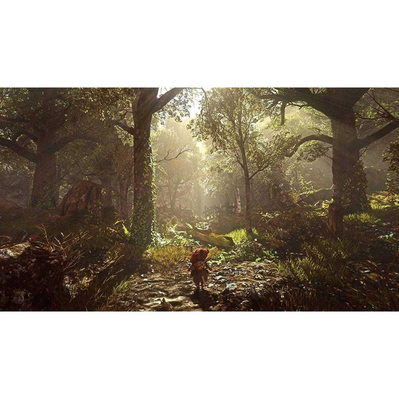 PS4 GHOST OF A TALE COLLECTORS EDITION REG.2 - DataBlitz