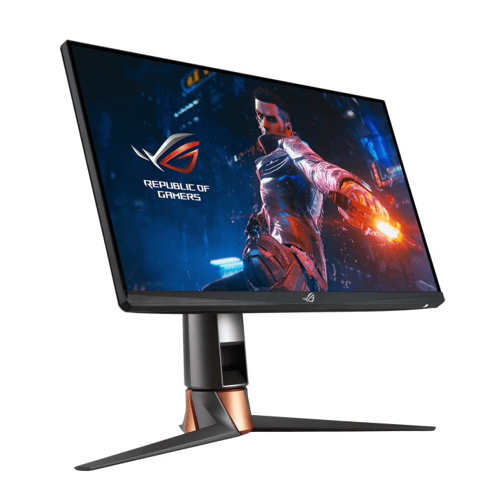 ASUS ROG SWIFT 360Hz PG259QN 24.5" GAMING MONITOR - DataBlitz