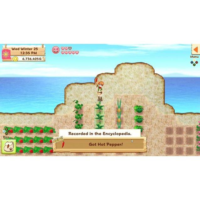 Nintendo Switch Harvest Moon Light Of Hope Special Edition