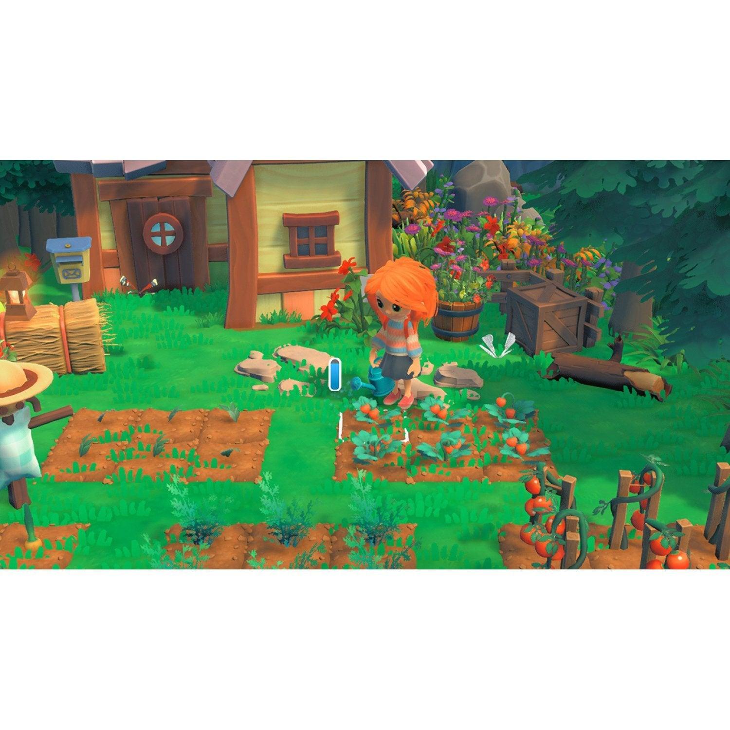 Nintendo Switch Hokko Life