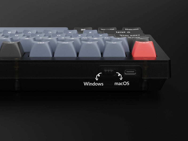 Keychron V1 QMK Fully Assembled RGB Backlight Hot-Swappable Wired Mechanical Keyboard - Frosted Black Translucent (K Pro Blue Switch) (V1A2)