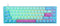 Ducky One 3 SF Frozen Llama RGB Double-Shot PBT Mechanical Keyboard