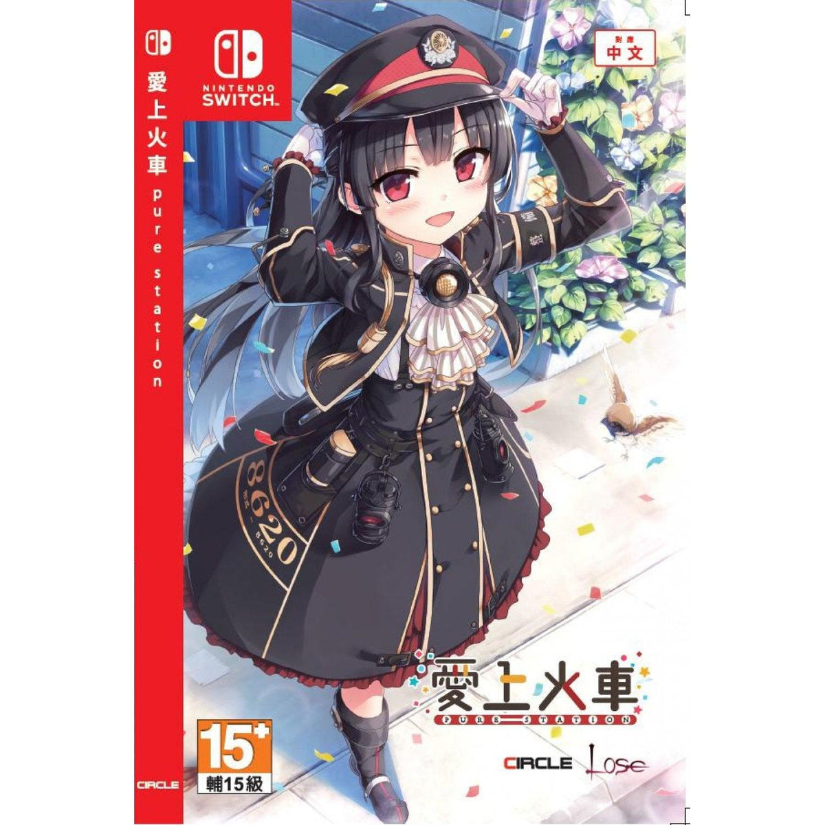 Nintendo Switch Maitetsu Pure Station