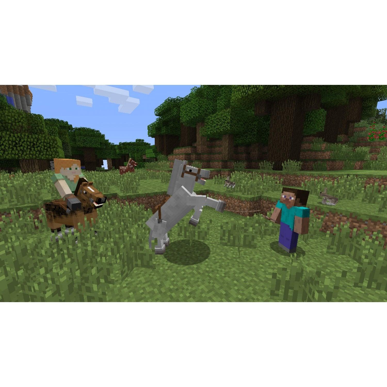 Nintendo Switch Minecraft