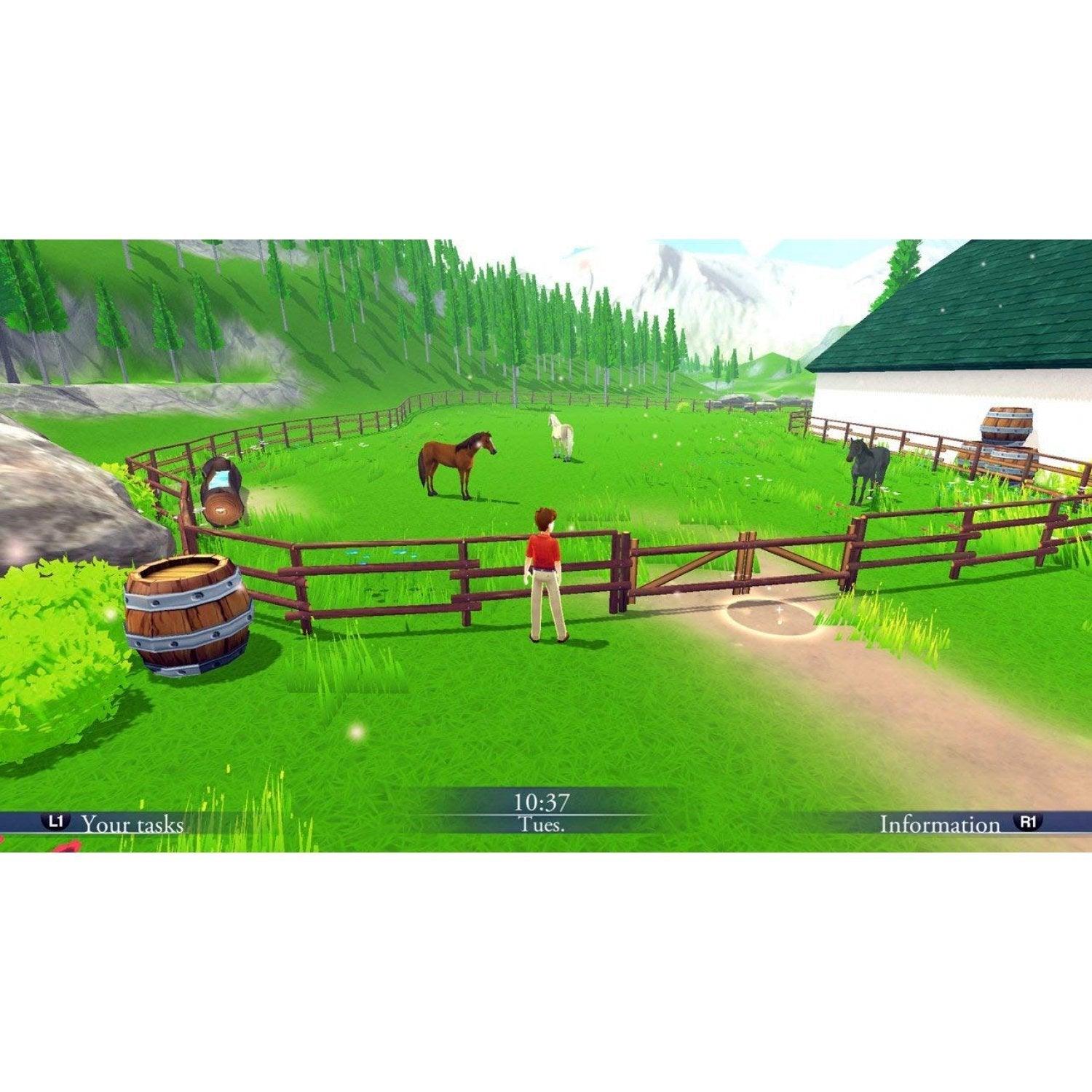 Nintendo Switch My Riding Stables Life With Horses