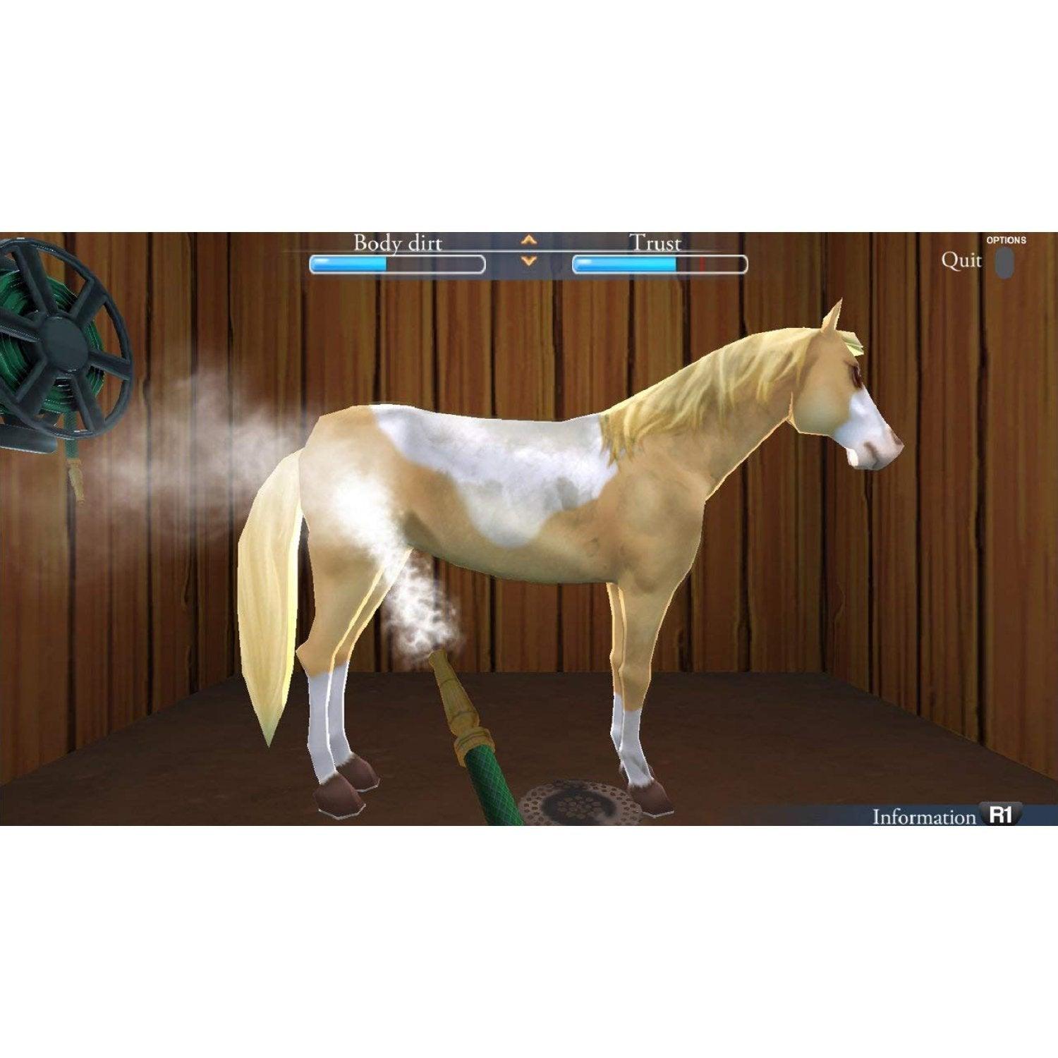 Nintendo Switch My Riding Stables Life With Horses