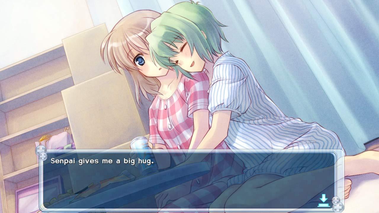 Nintendo Switch Nurse Love Obsession