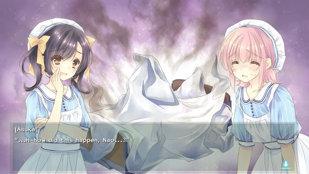 Nintendo Switch Nurse Love Obsession