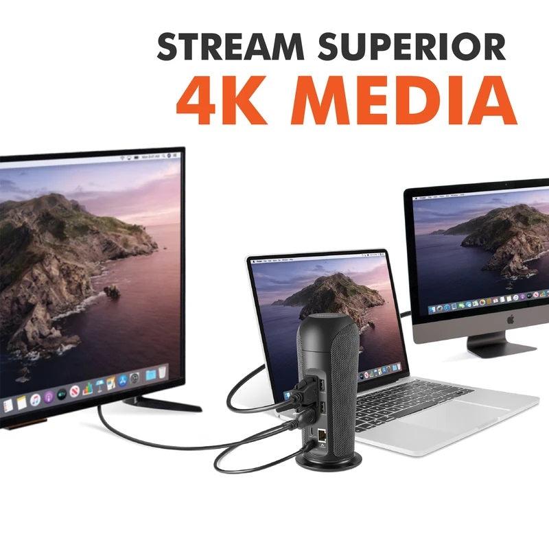 PROMATE ALPHAHUB 13-IN-1 USB-C MULTIMEDIA HUB (BLACK) - DataBlitz
