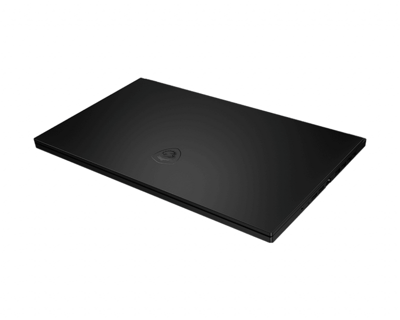 MSI GS66 STEALTH 10UE-287PH 15.6" GAMING LAPTOP - DataBlitz