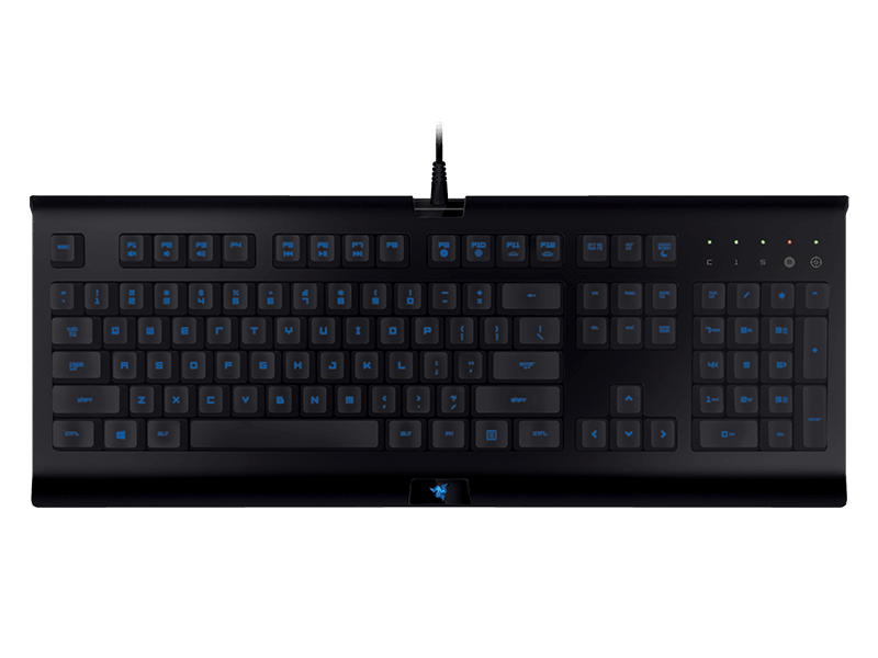 RAZER CYNOSA PRO BUNDLE (RAZER CYNOZA PRO AND RAZER DEATHADDER 2000) - DataBlitz