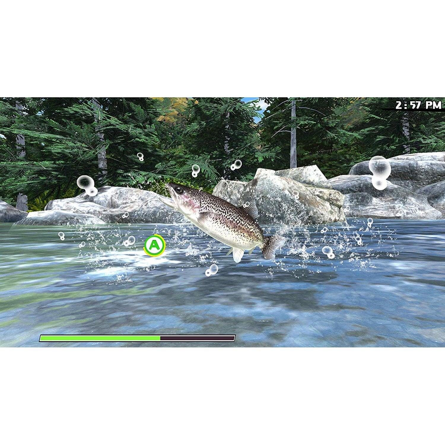 Nintendo Switch Reel Fishing Road Trip Adventure
