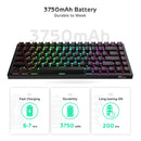 ROYAL KLUDGE RK84 TRI-MODE RGB 84 KEYS HOT SWAPPABLE MECHANICAL KEYBOARD BLACK (BROWN SWITCH) - DataBlitz