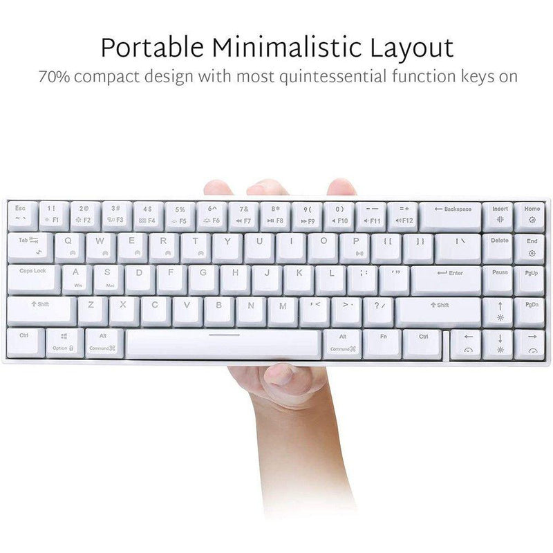 ROYAL KLUDGE RK71 TRI-MODE RGB 71 KEYS HOT SWAPPABLE MECHANICAL KEYBOARD WHITE (BLUE SWITCH) - DataBlitz