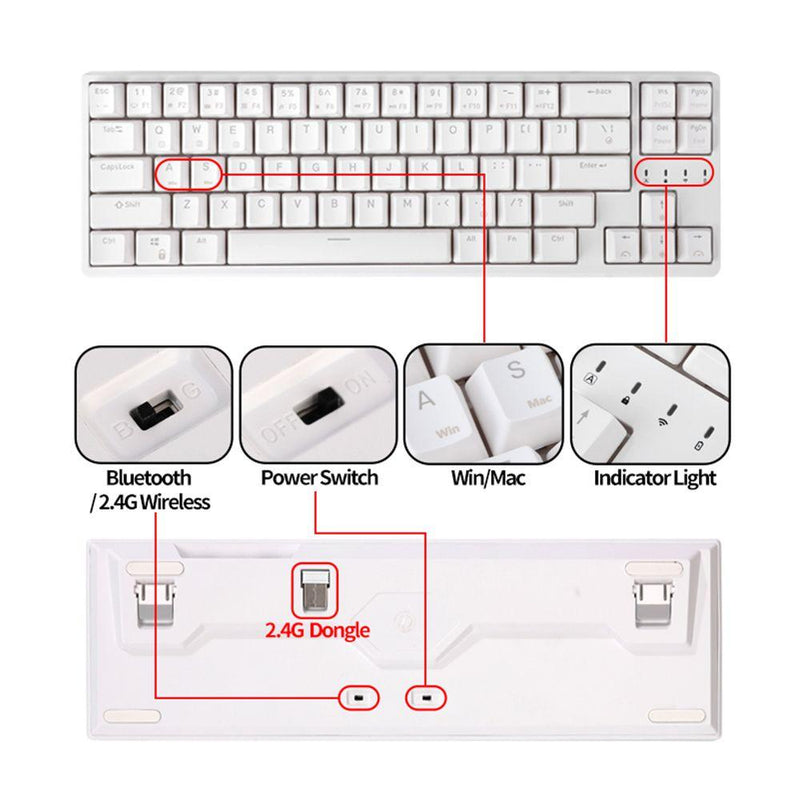 ROYAL KLUDGE RK68PLUS RK871 TRI-MODE RGB 68 KEYS HOT SWAPPABLE MECHANICAL KEYBOARD WHITE (BLUE SWITCH) - DataBlitz