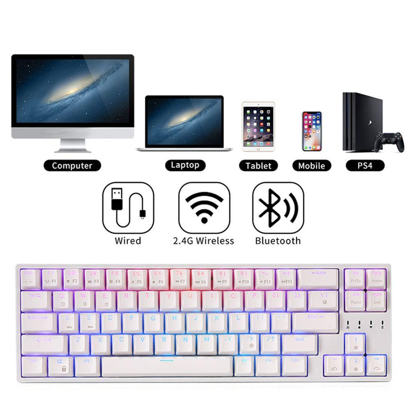 ROYAL KLUDGE RK68PLUS RK871 TRI-MODE RGB 68 KEYS HOT SWAPPABLE MECHANICAL KEYBOARD WHITE (BLUE SWITCH) - DataBlitz