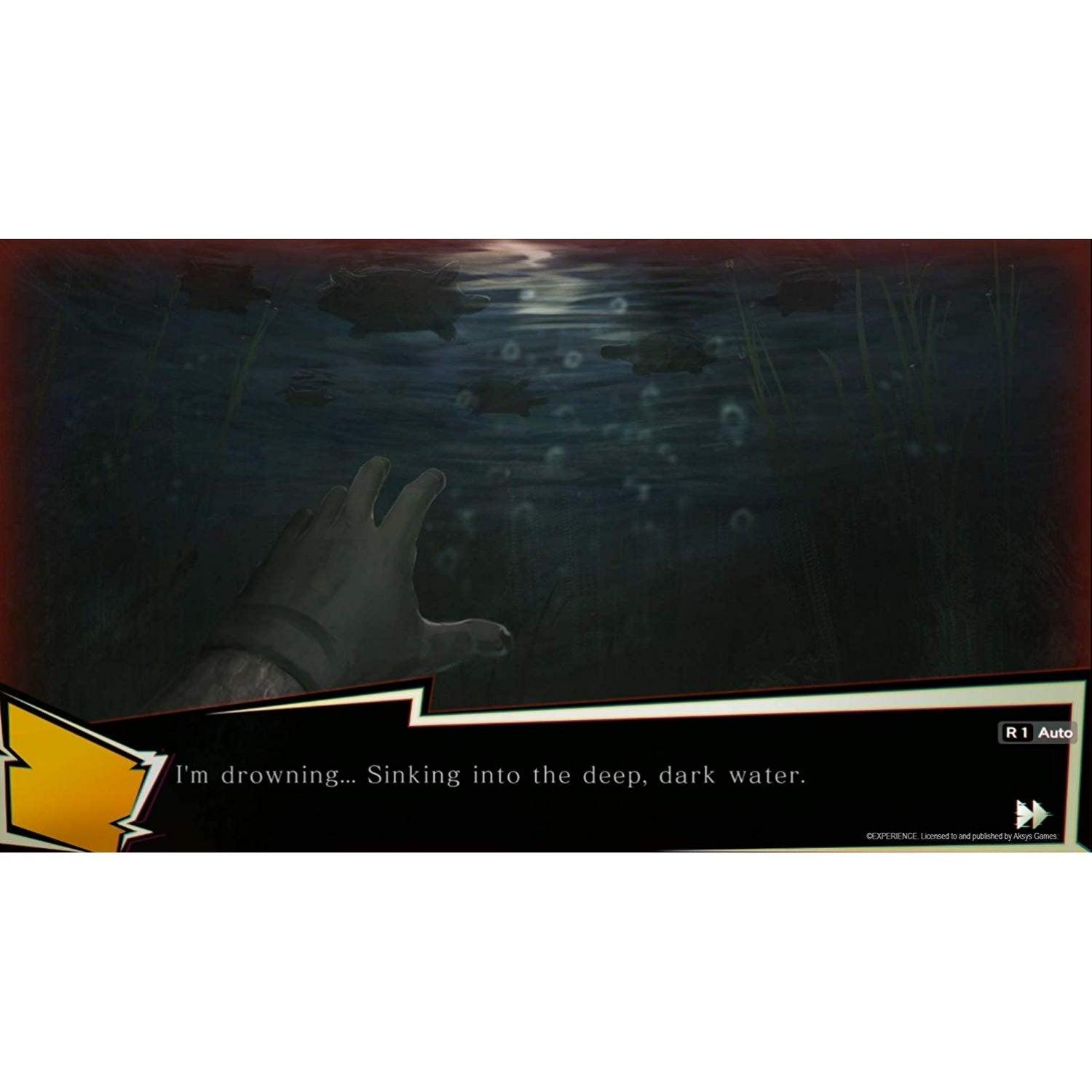 NINTENDO SWITCH SPIRIT HUNTER NG