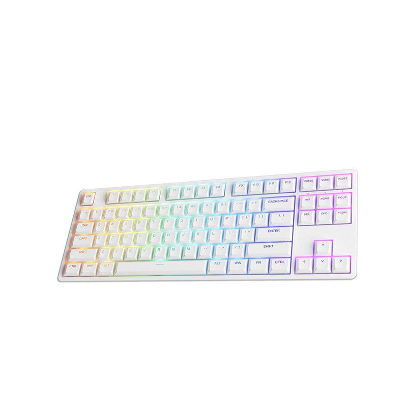 Akko 5087S Shine-Through RGB Hot-Swappable Mechanical Keyboard White(Akko CS Jelly Purple) - DataBlitz