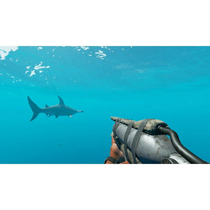 NINTENDO SWITCH STRANDED DEEP