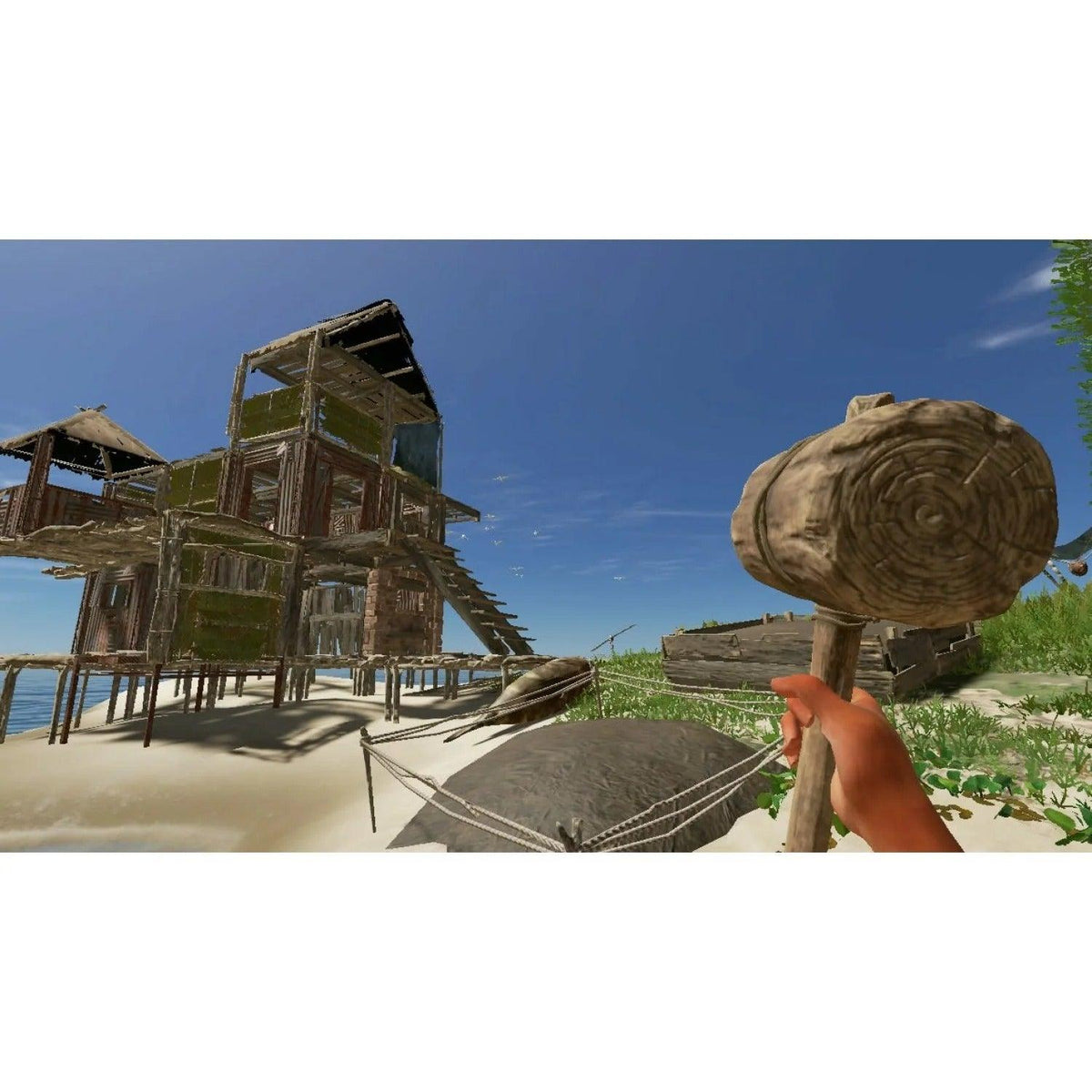 NINTENDO SWITCH STRANDED DEEP