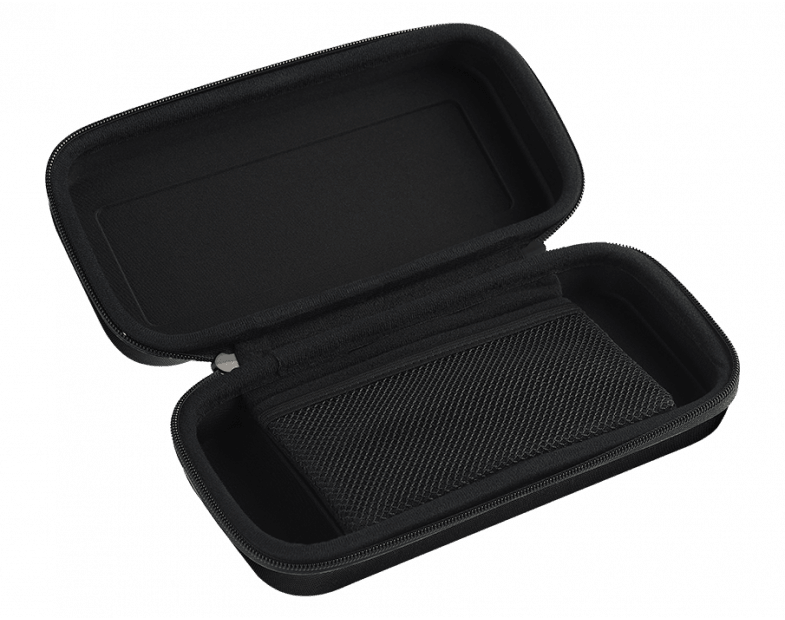 NSW TRANSPORT CASE-L FOR N-SWITCH BLACK (BB2056) - DataBlitz