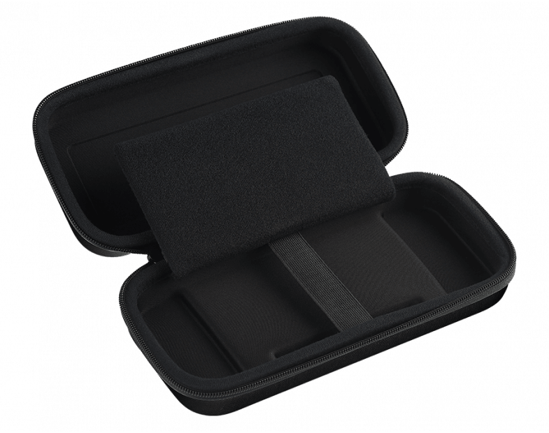 NSW TRANSPORT CASE-L FOR N-SWITCH BLACK (BB2056) - DataBlitz