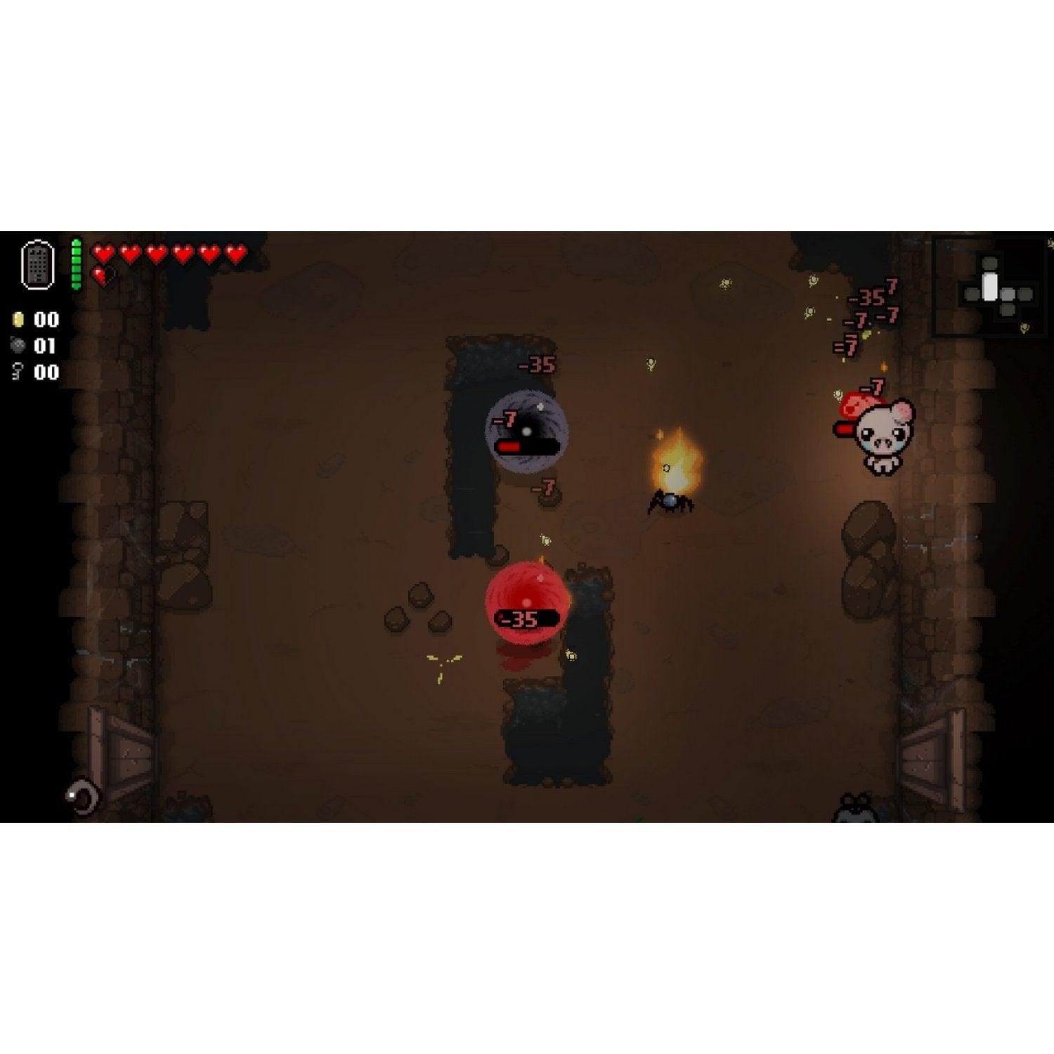 NINTENDO SWITCH THE BINDING OF ISAAC AFTERBIRTH +