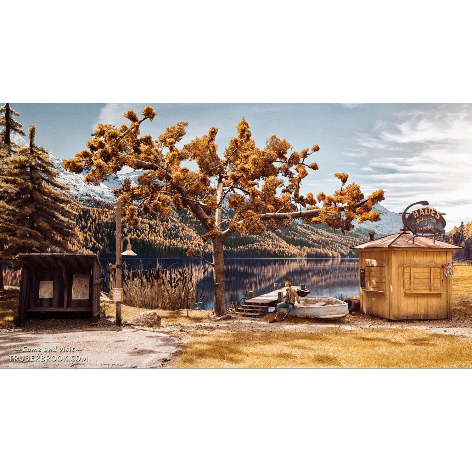NINTENDO SWITCH TRUBERBROOK