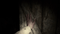 PS4 RESIDENT EVIL VIII: VILLAGE - DataBlitz