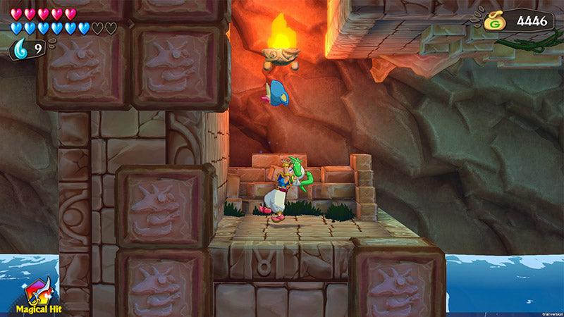 NINTENDO SWITCH WONDER BOY ASHA IN MONSTER WORLD