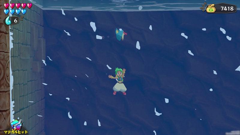 NINTENDO SWITCH WONDER BOY ASHA IN MONSTER WORLD