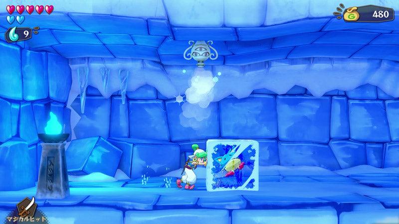 NINTENDO SWITCH WONDER BOY ASHA IN MONSTER WORLD