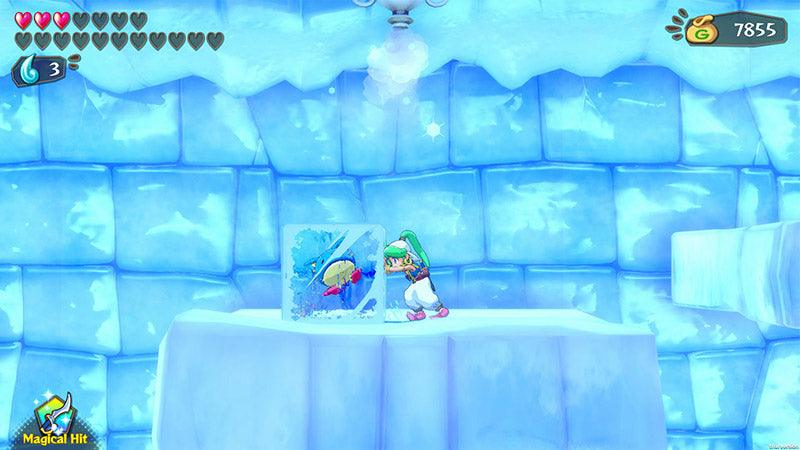 NINTENDO SWITCH WONDER BOY ASHA IN MONSTER WORLD